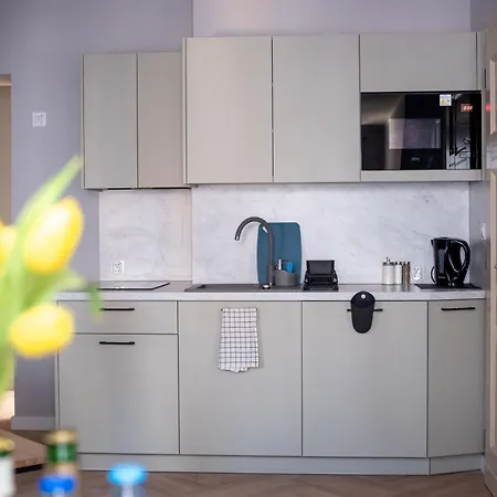 Apartamenty Drevny Kocur דירה פוזנן