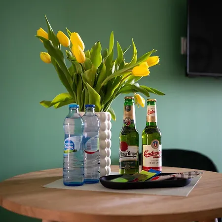 Apartamenty Drevny Kocur