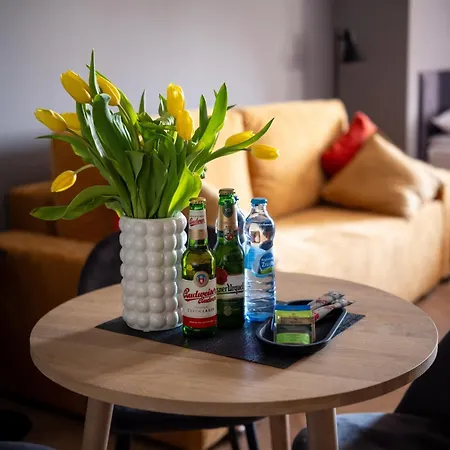 Apartamenty Drevny Kocur